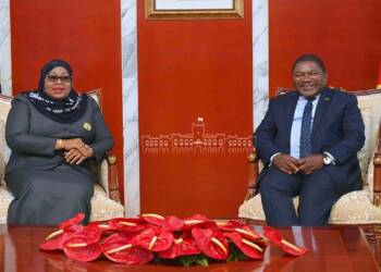 Tanzania and Mozambique join hands to create a hydrocarbon empire in Africa