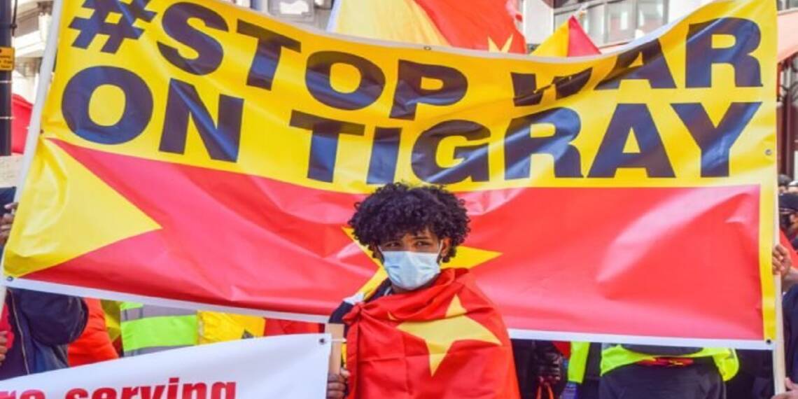 There won’t be peace in Ethiopia until USA’s lackey ‘AU’ gets out