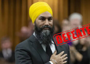 New Democratic Party