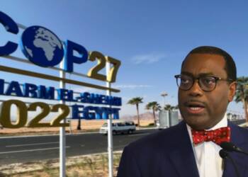 African Development Bank grabs the West by its collar over the climate agenda