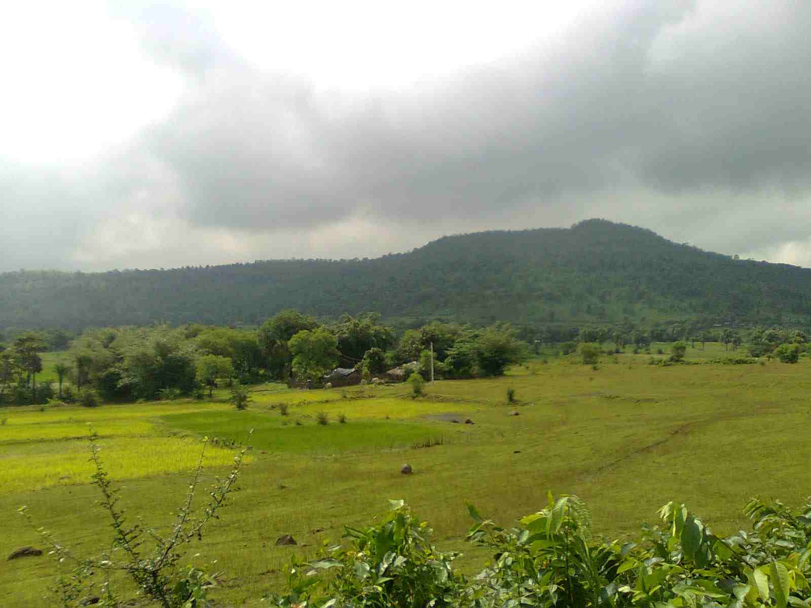 Hills of Rajmahal