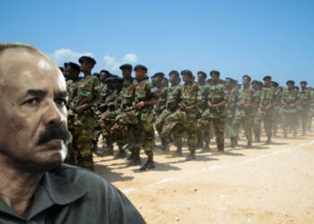 Eritrea destroyed TPLF first. Now, its next target is Al-Shabab