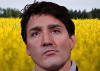 How Prairie farmers are resisting Trudeau’s efforts to sell Canada’s sovereignty to US and China