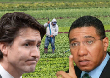 Jamaica says NO to Canada’s systematic enslavement