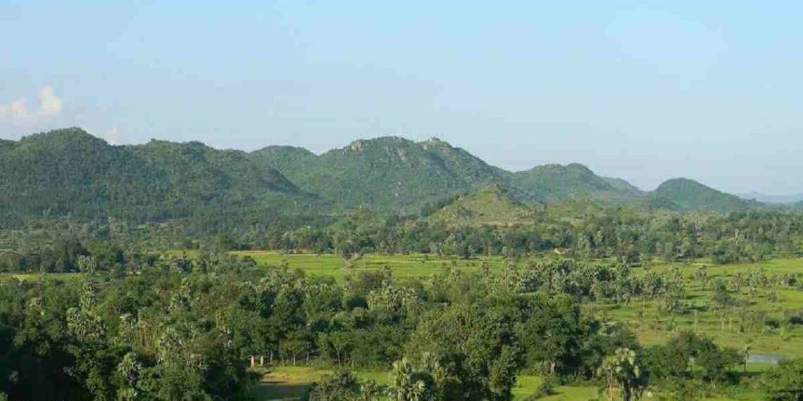 Rajmahal Hills daylight view