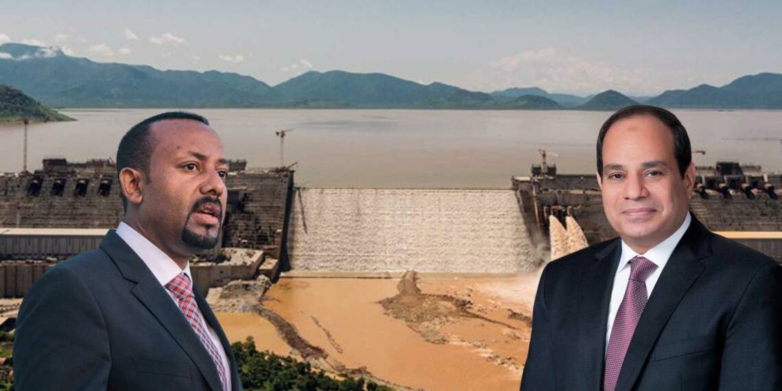 Ahmed and El-Sisi are fairly capable of solving the Nile mess without involving the US