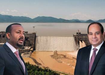 Ahmed and El-Sisi are fairly capable of solving the Nile mess without involving the US