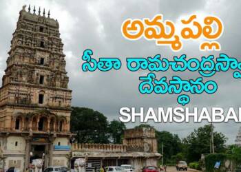 Ammapalli Temple entrance door