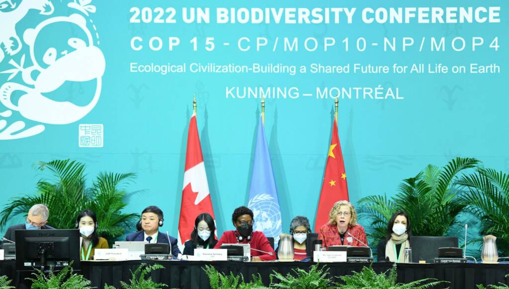 COP 15 Biodiversity Conference