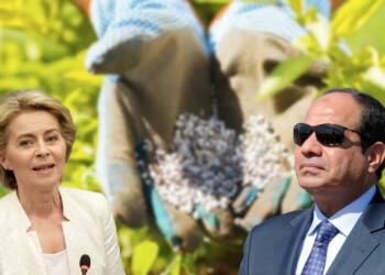 Heckled by America, EU comes to Egypt for help