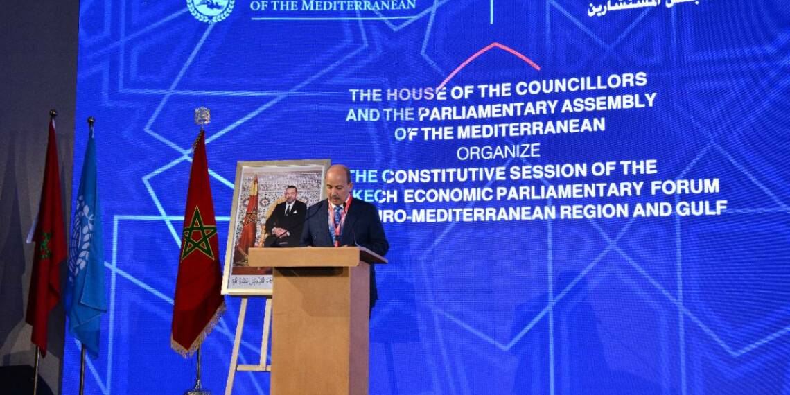 Global south countries plan to end Western hegemony in Africa’s economy