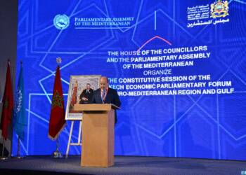 Global south countries plan to end Western hegemony in Africa’s economy