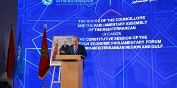 Global south countries plan to end Western hegemony in Africa’s economy