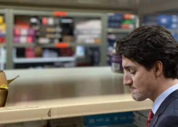 Food Banks are failing to fix the chronic hunger of Canada