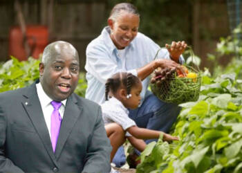 Food insecurity