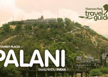 Palani Temple Hill view