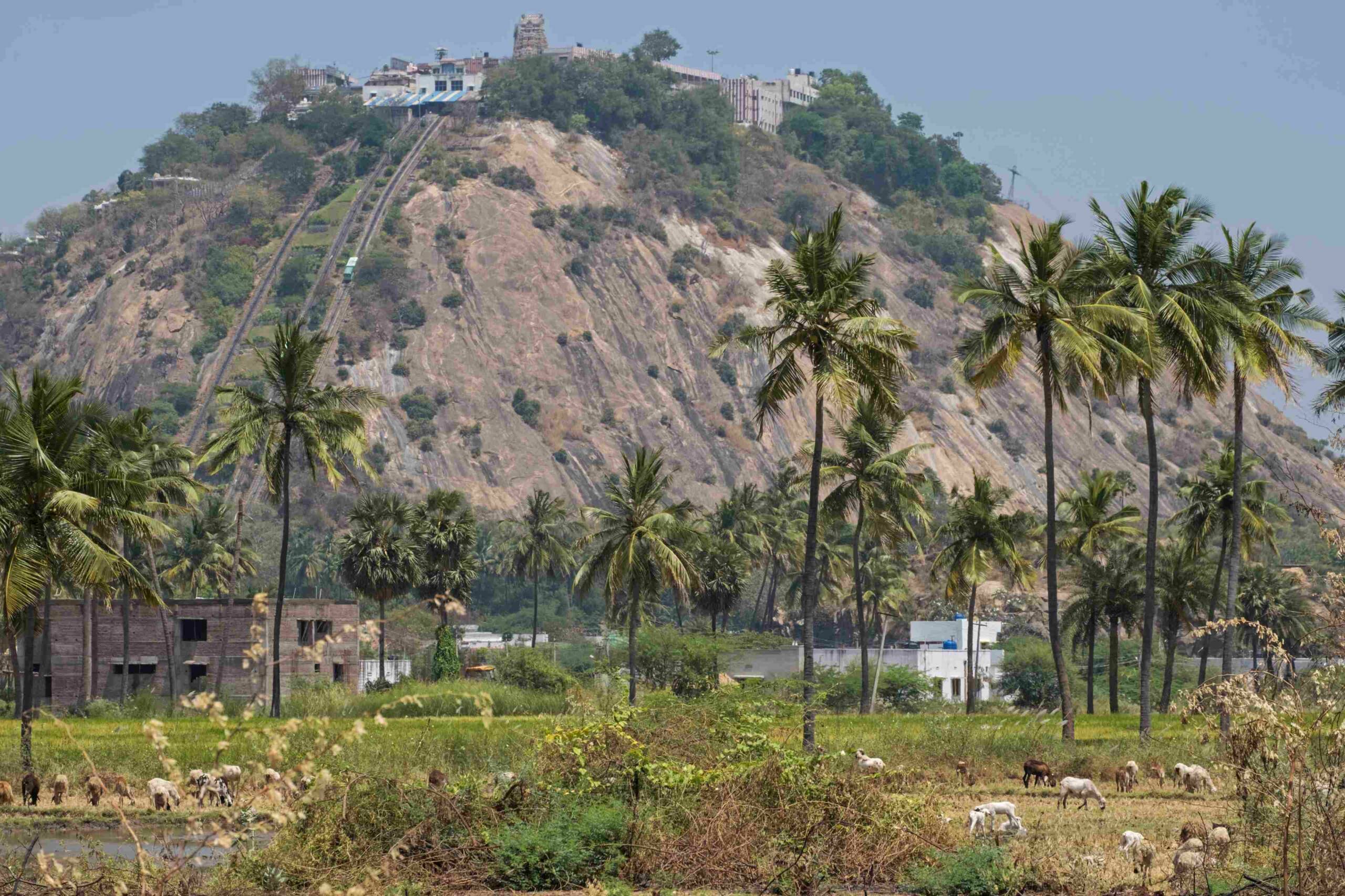 Palani Temple back view