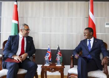 UK investment in Africa: