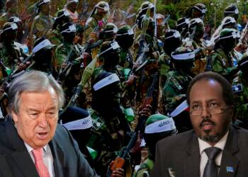 al-Shabab