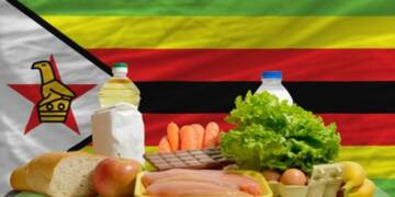 Zimbabwe is one step closer to launch Africa’s own ‘green revolution’