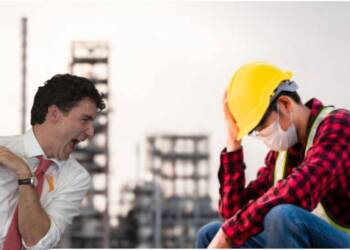 Alberta questions Liberal integrity behind PrairieCan