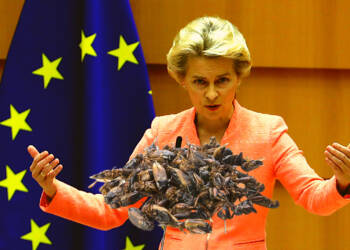 European cuisine set to get crunchier with crickets