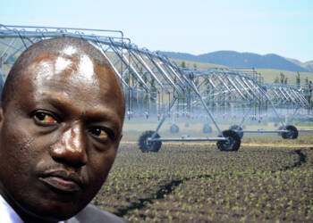 Galana Kulalu project