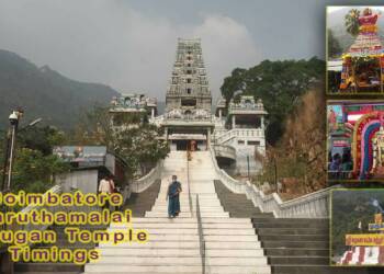 Marudhamalai Temple Stairs
