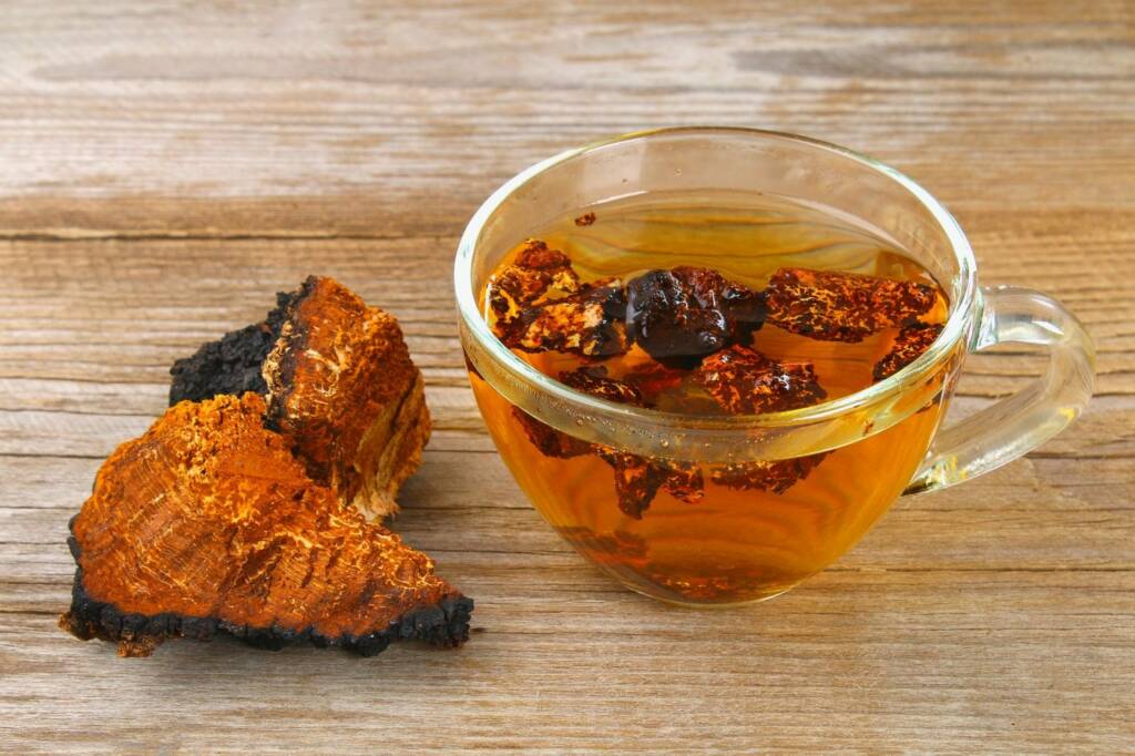 Mushroom tea : Mushroom stew and lots of black pepper in this unconventional winter drink.