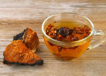 Mushroom tea : Mushroom stew and lots of black pepper in this unconventional winter drink.