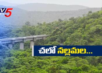 Nallamala Forest ecotourism