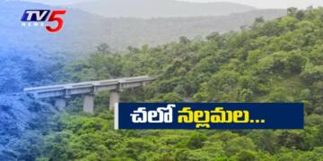 Nallamala Forest ecotourism