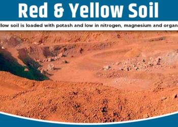 Red and yellow soil