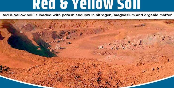 What Is Red And Yellow Soil 7 Benefits Of The Soil TFIGlobal   Red Yellow Soil 740x375 