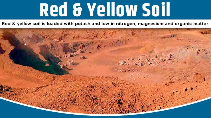 Red and yellow soil