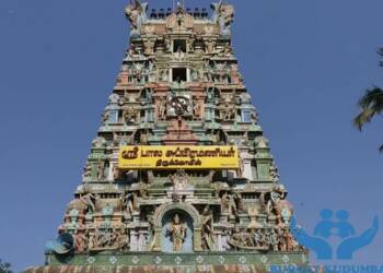 Siruvapuri Shri Balasubramaniaswamy Temple Tower