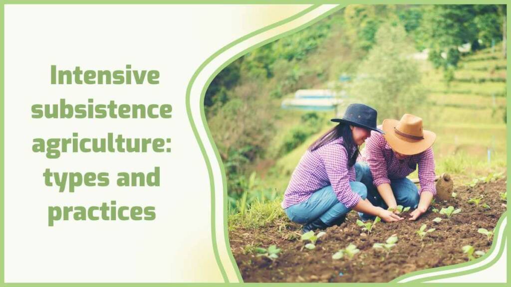What do you mean by subsistence intensive farming? 5 Benefits