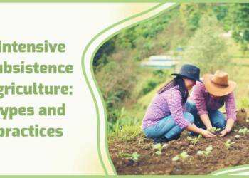 What do you mean by subsistence intensive farming? 5 Benefits