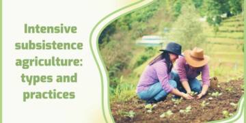 What do you mean by subsistence intensive farming? 5 Benefits