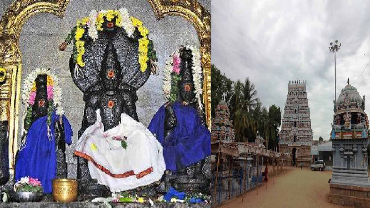 Thirunageswaram Temple IDOL
