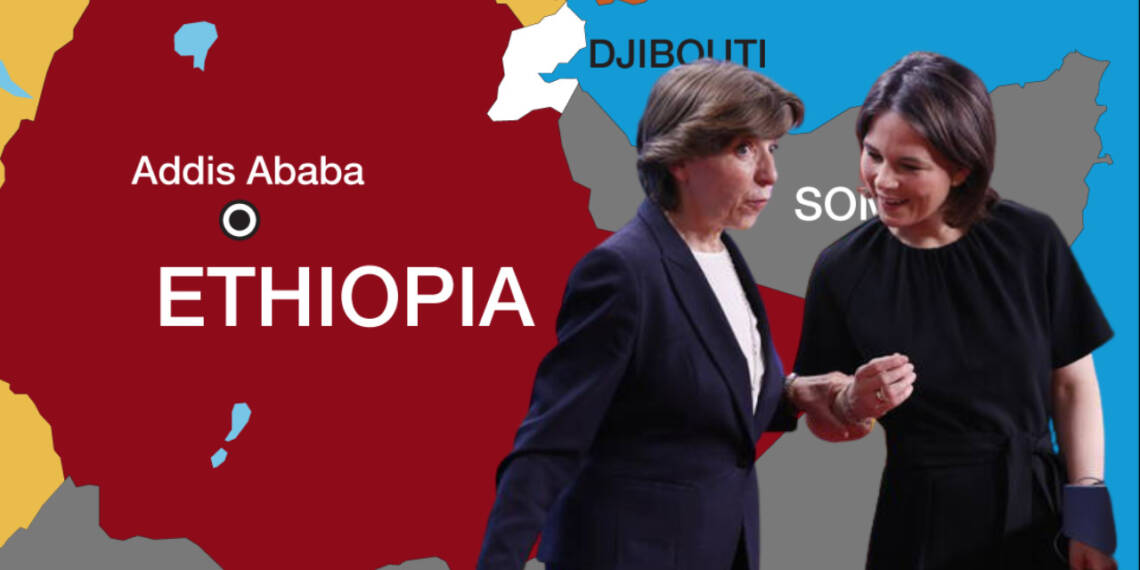 2 European foreign ministers’ visit to Ethiopia is not about peace but to keep the migrants at bay