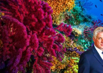 How absence of Americans proved to be a blessing for Cuba’s marine ecosystem