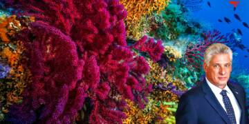 How absence of Americans proved to be a blessing for Cuba’s marine ecosystem