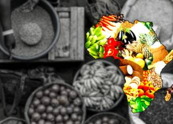 Africa’s final push to achieve Zero Hunger Target