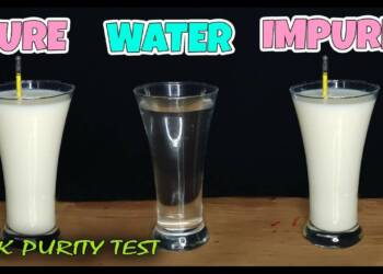 What is lactometer and its working?