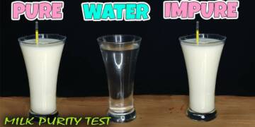 What is lactometer and its working?