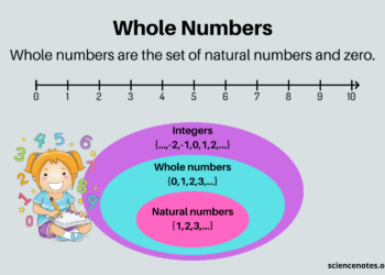 whole numbers