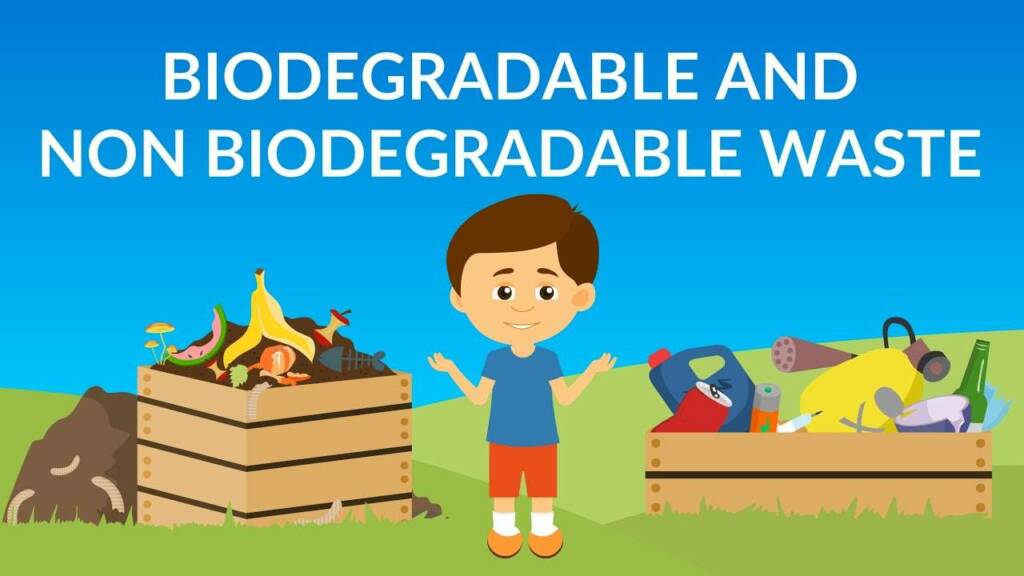 Why are some substances biodegradable and some non biodegradable?