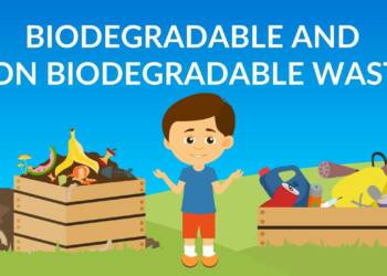 Why are some substances biodegradable and some non biodegradable?