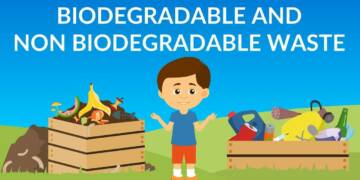 Why are some substances biodegradable and some non biodegradable?